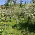 Дом отдыха Pelion Kallisti